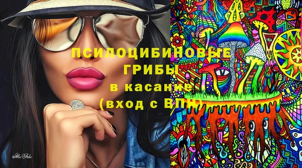 соль ск Алексин