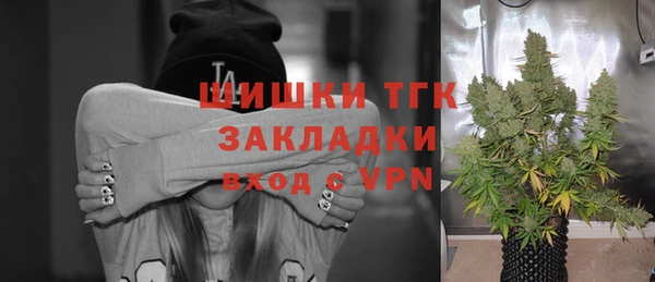 соль ск Алексин