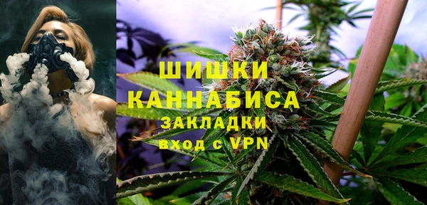 ГАЛЛЮЦИНОГЕННЫЕ ГРИБЫ Алзамай