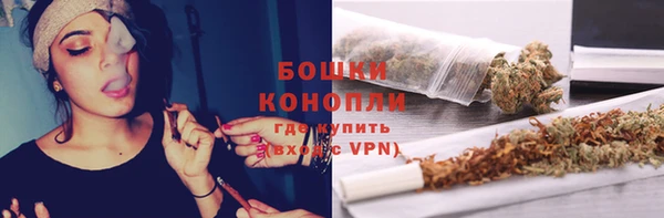 ГАЛЛЮЦИНОГЕННЫЕ ГРИБЫ Алзамай