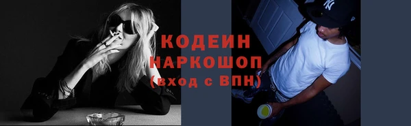 молекула духа Киреевск