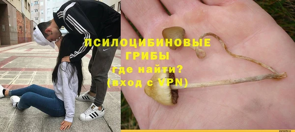 дурь Зеленодольск