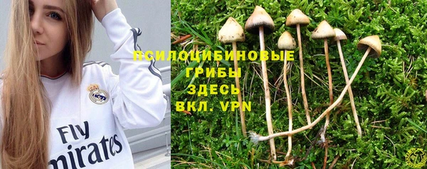 ГАЛЛЮЦИНОГЕННЫЕ ГРИБЫ Алзамай