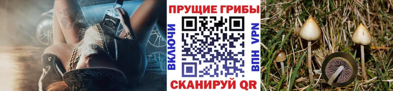 как найти закладки  Алушта  Псилоцибиновые грибы Magic Shrooms 